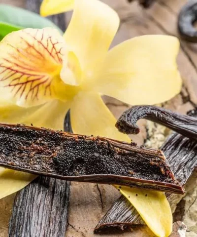 Vanilla